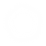 wd-blurflake3 Intro Animation Image